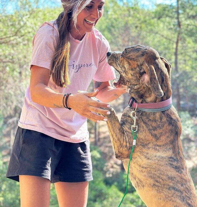 Fun activities: things to do together to strengthen the bond with your pet