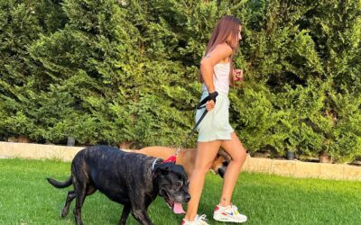 10 Benefits of Hiring a Pet Walker