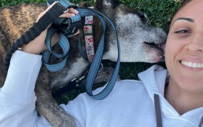 The Benefits of Owning a Dog